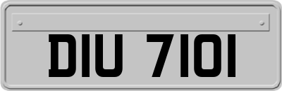DIU7101