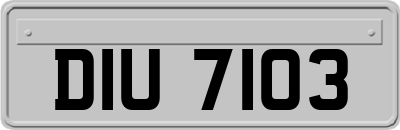 DIU7103