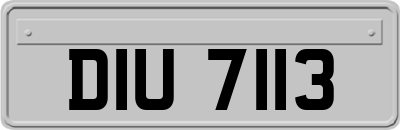 DIU7113