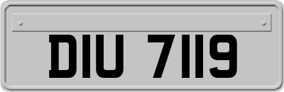 DIU7119