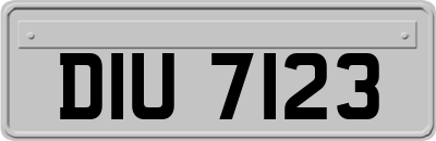 DIU7123