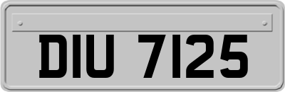 DIU7125