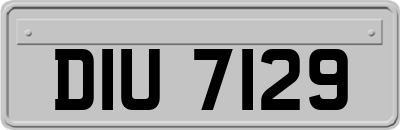 DIU7129
