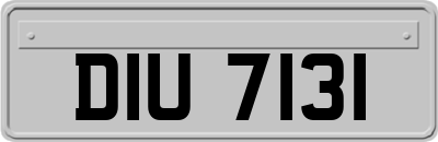 DIU7131