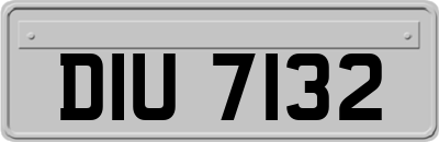 DIU7132