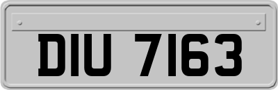 DIU7163
