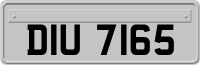 DIU7165