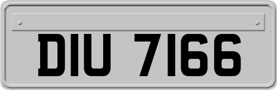 DIU7166