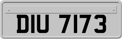 DIU7173