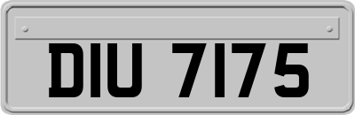 DIU7175