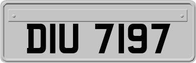 DIU7197