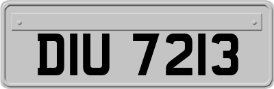 DIU7213