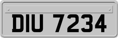 DIU7234