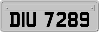 DIU7289