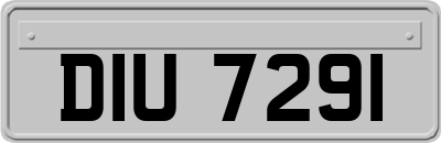 DIU7291