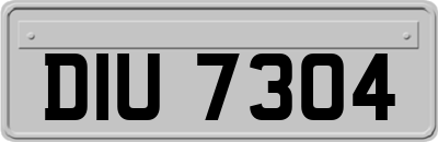 DIU7304