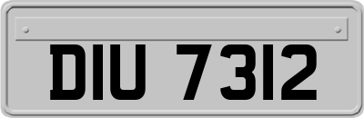 DIU7312