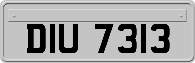 DIU7313