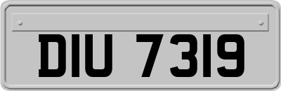DIU7319