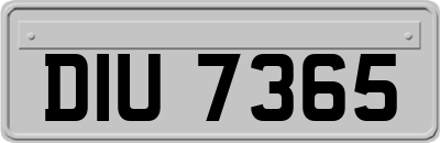 DIU7365