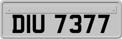 DIU7377