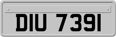 DIU7391