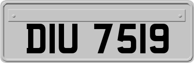 DIU7519