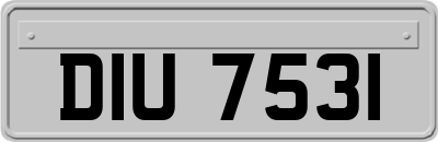 DIU7531