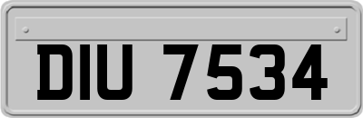 DIU7534