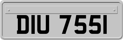 DIU7551
