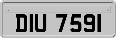 DIU7591