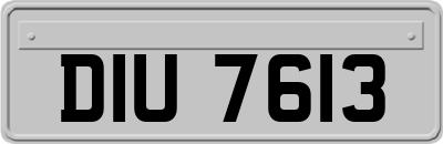 DIU7613