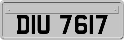DIU7617
