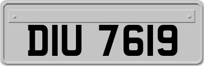 DIU7619
