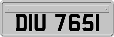 DIU7651