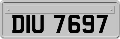 DIU7697