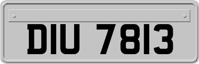 DIU7813