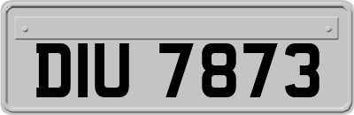 DIU7873