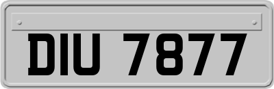 DIU7877