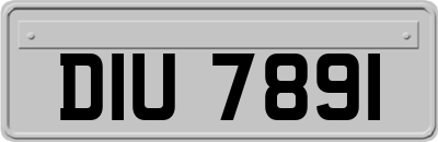 DIU7891