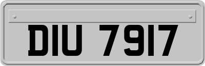 DIU7917