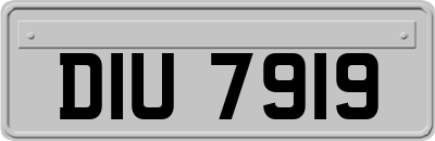 DIU7919