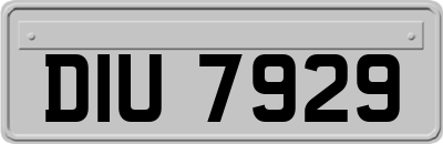 DIU7929