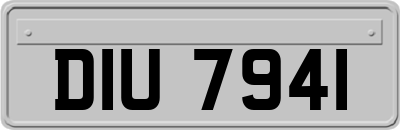 DIU7941