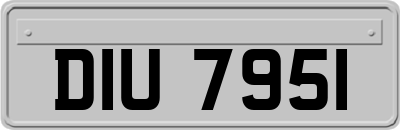 DIU7951