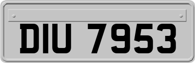 DIU7953