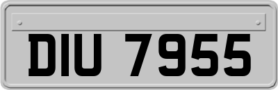 DIU7955