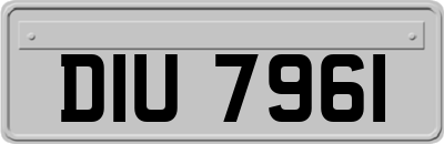 DIU7961