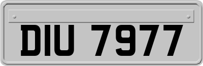 DIU7977