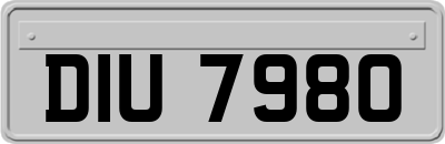 DIU7980